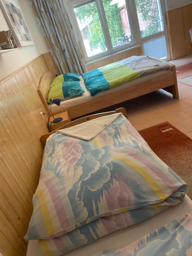 ホテル Penzion Fontana Náměšť nad Oslavou エクステリア 写真